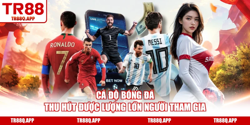 Cá độ bóng đá thu hút được lượng lớn người tham gia