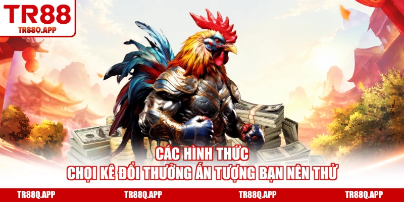 Các hình thức chọi kê đổi thưởng ấn tượng bạn nên thử