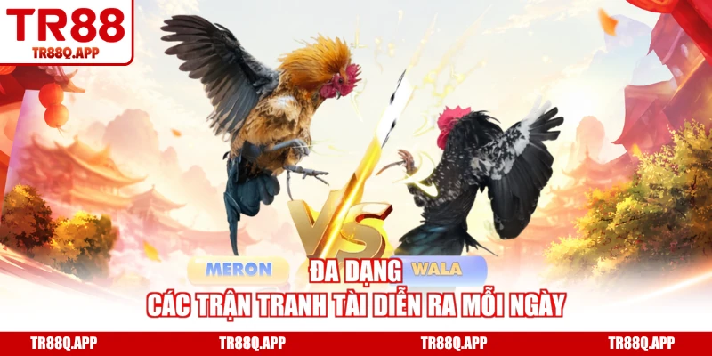 Đa dạng các trận tranh tài diễn ra mỗi ngày