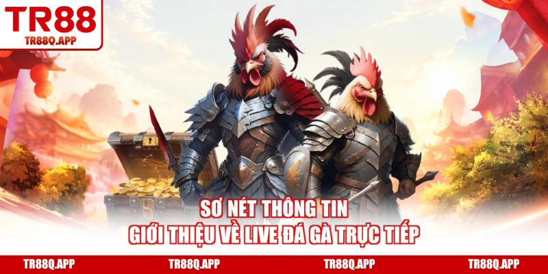 Sơ nét thông tin giới thiệu về live đá gà trực tiếp
