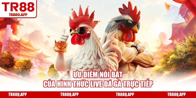Ưu điểm nổi bật của hình thức live đá gà trực tiếp